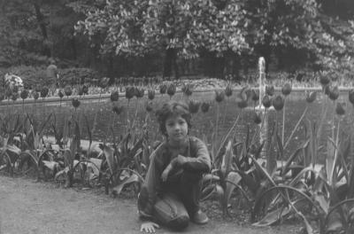Tulipany w azienkach -- Kubu
