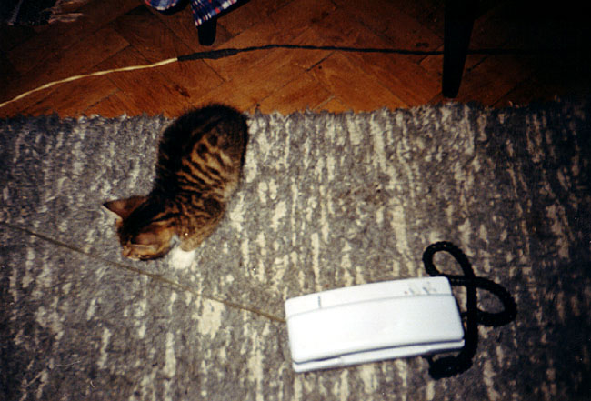telefon!