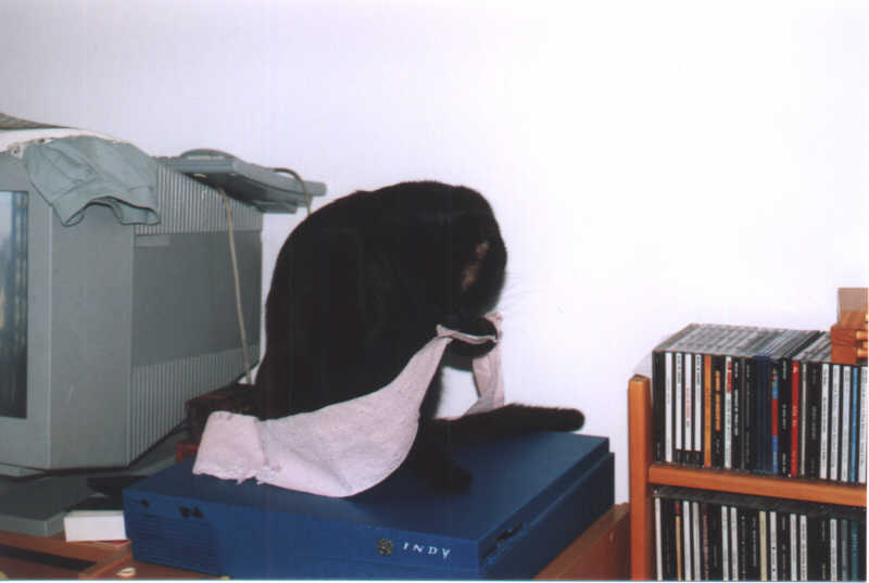 zuza33