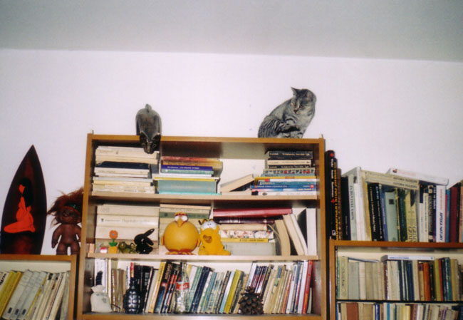 Drewniany i Maryka