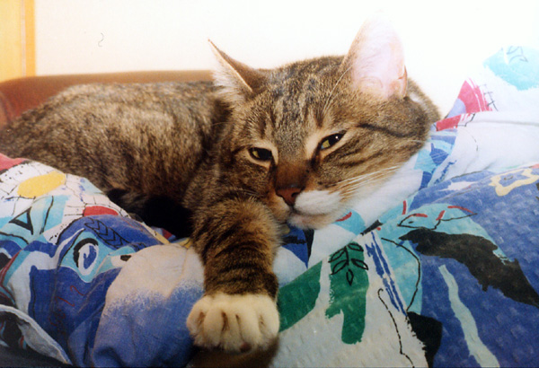 Gruby