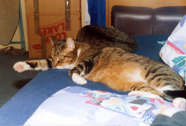 Gruby
