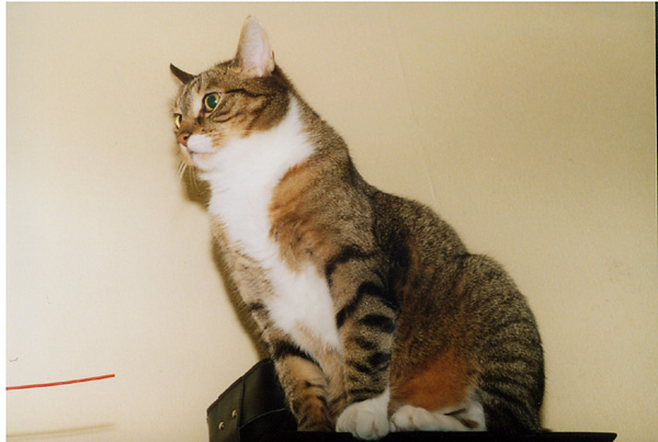 Gruby