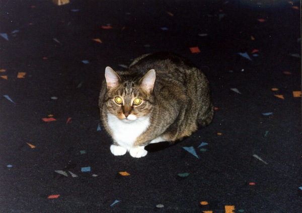 Gruby