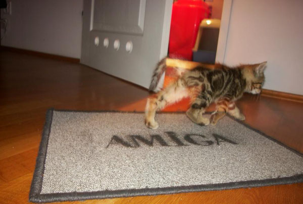 11