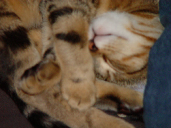 08