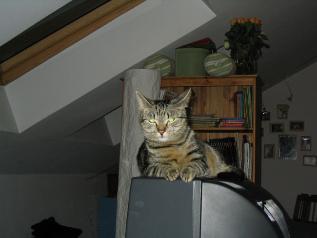 Czarny