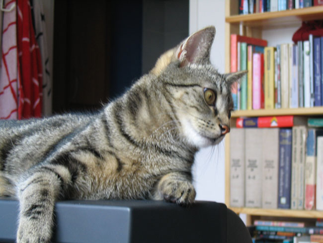 Czarny