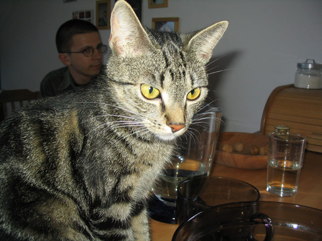 Czarny