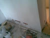 saloon