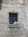 kya025_small.jpg